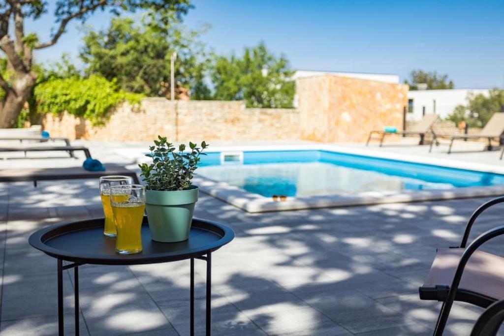 Cesare Apartment, With Swimming Pool And Sea View Лижнян Экстерьер фото